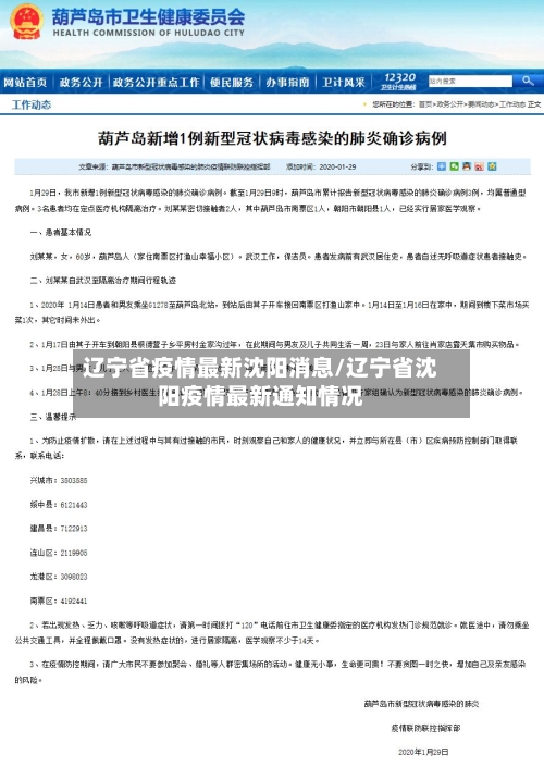 辽宁省疫情最新沈阳消息/辽宁省沈阳疫情最新通知情况-第2张图片