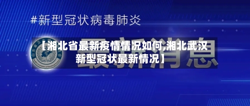 【湘北省最新疫情情况如何,湘北武汉新型冠状最新情况】-第2张图片