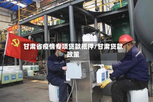 甘肃省疫情专项贷款抵押/甘肃贷款政策-第3张图片