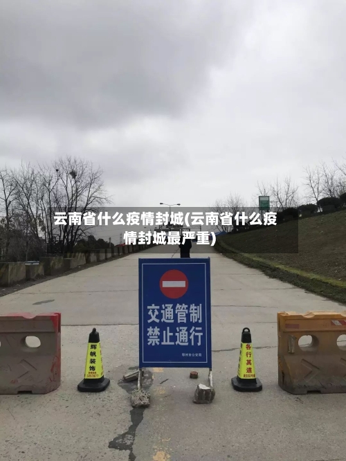 云南省什么疫情封城(云南省什么疫情封城最严重)-第1张图片