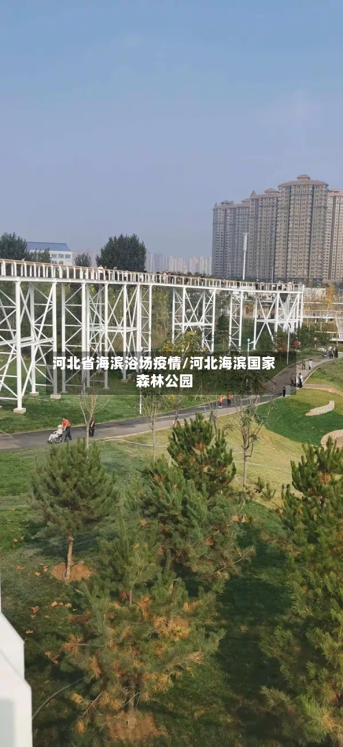 河北省海滨浴场疫情/河北海滨国家森林公园-第1张图片