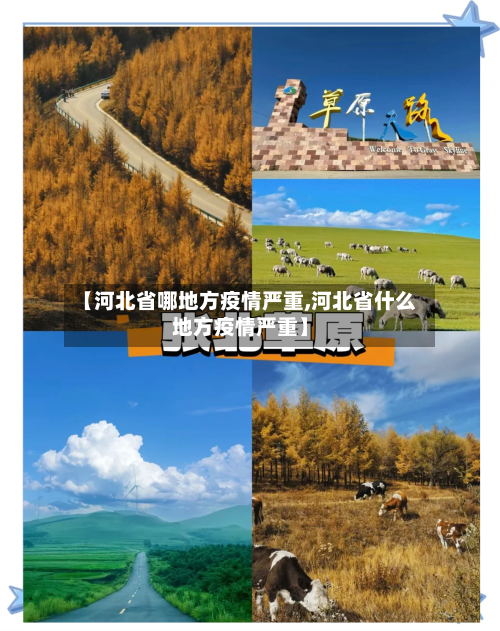 【河北省哪地方疫情严重,河北省什么地方疫情严重】-第1张图片