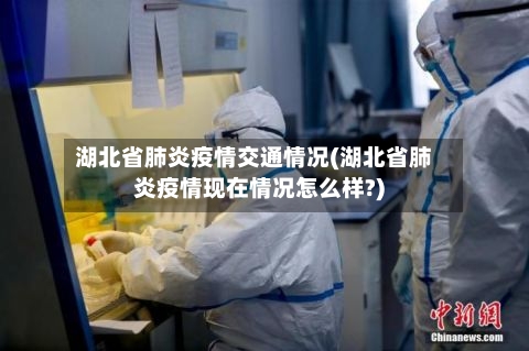湖北省肺炎疫情交通情况(湖北省肺炎疫情现在情况怎么样?)-第3张图片
