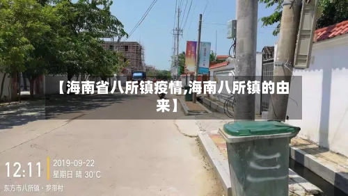 【海南省八所镇疫情,海南八所镇的由来】-第2张图片