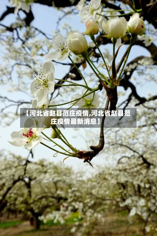 【河北省赵县范庄疫情,河北省赵县范庄疫情最新消息】-第1张图片
