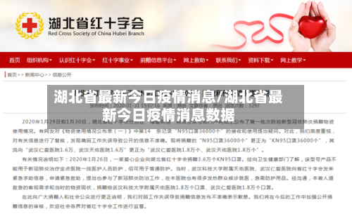 湖北省最新今日疫情消息/湖北省最新今日疫情消息数据-第3张图片