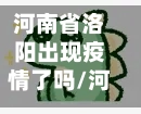 河南省洛阳出现疫情了吗/河南洛阳有新增病例吗-第1张图片