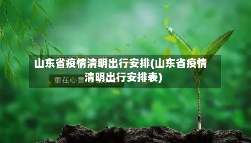 山东省疫情清明出行安排(山东省疫情清明出行安排表)-第1张图片