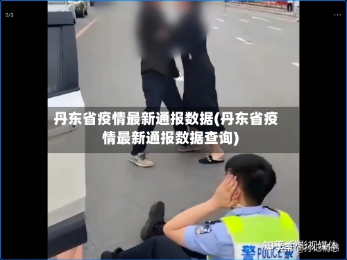 丹东省疫情最新通报数据(丹东省疫情最新通报数据查询)-第2张图片