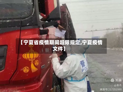 【宁夏省疫情期间超限规定,宁夏疫情文件】-第2张图片