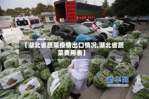 【湖北省蔬菜疫情出口情况,湖北省蔬菜费用表】-第1张图片