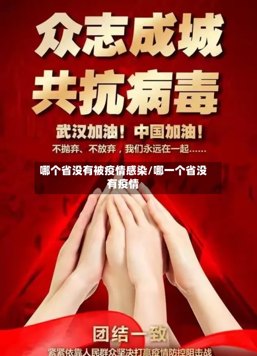 哪个省没有被疫情感染/哪一个省没有疫情-第2张图片