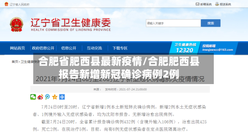合肥省肥西县最新疫情/合肥肥西县报告新增新冠确诊病例2例-第1张图片