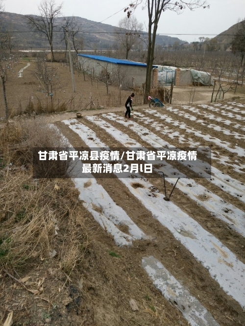 甘肃省平凉县疫情/甘肃省平凉疫情最新消息2月l日-第1张图片