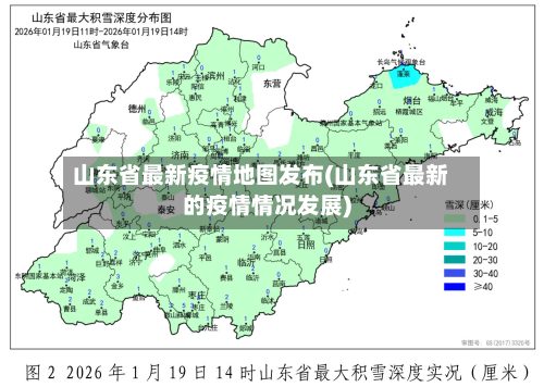 山东省最新疫情地图发布(山东省最新的疫情情况发展)-第2张图片