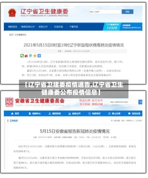 【辽宁省卫建委疫情通告,辽宁省卫生健康委公布疫情信息】-第2张图片