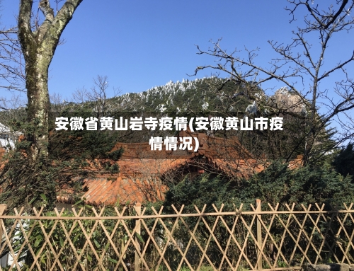 安徽省黄山岩寺疫情(安徽黄山市疫情情况)-第2张图片