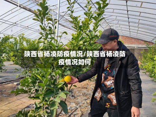 陕西省杨凌防疫情况/陕西省杨凌防疫情况如何-第1张图片