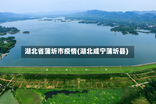 湖北省蒲圻市疫情(湖北咸宁蒲圻县)-第1张图片