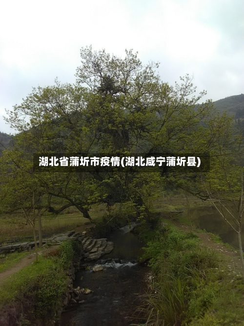 湖北省蒲圻市疫情(湖北咸宁蒲圻县)-第3张图片
