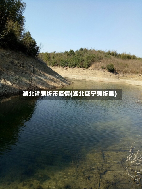 湖北省蒲圻市疫情(湖北咸宁蒲圻县)-第2张图片
