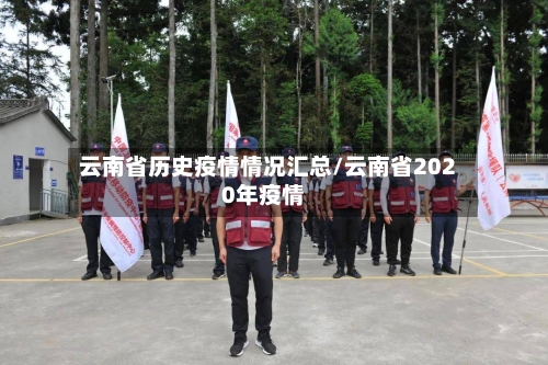 云南省历史疫情情况汇总/云南省2020年疫情-第2张图片