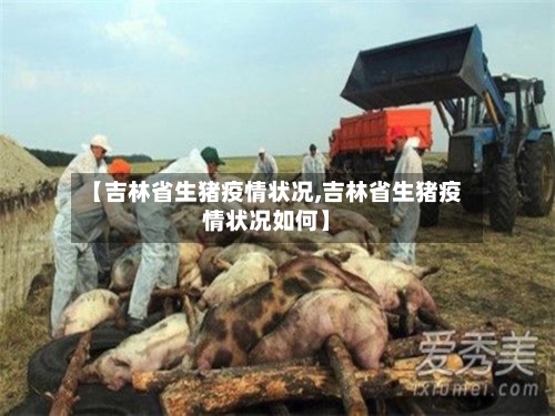 【吉林省生猪疫情状况,吉林省生猪疫情状况如何】-第1张图片