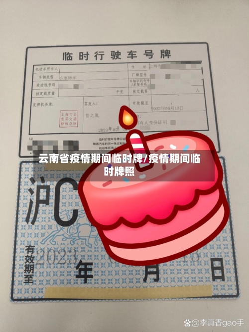 云南省疫情期间临时牌/疫情期间临时牌照-第2张图片