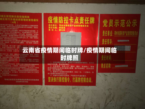 云南省疫情期间临时牌/疫情期间临时牌照-第1张图片