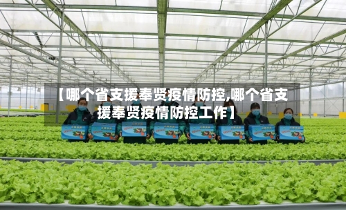 【哪个省支援奉贤疫情防控,哪个省支援奉贤疫情防控工作】-第2张图片