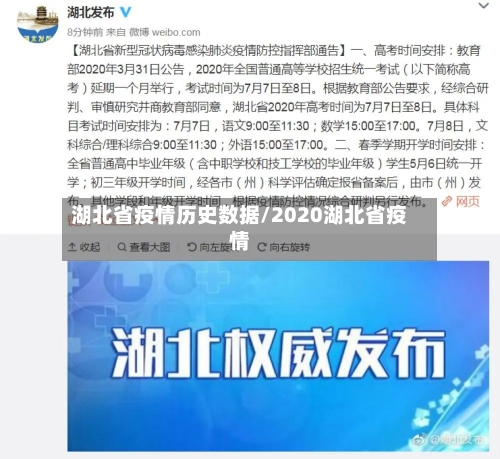 湖北省疫情历史数据/2020湖北省疫情-第2张图片