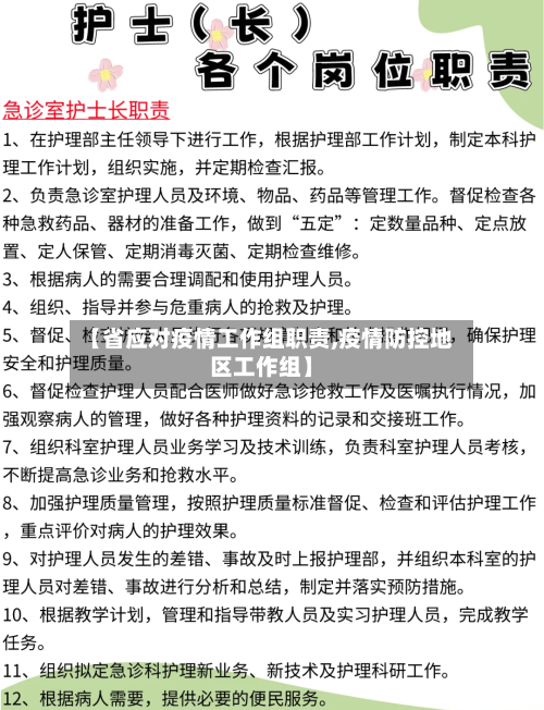 【省应对疫情工作组职责,疫情防控地区工作组】-第1张图片