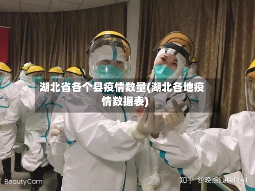 湖北省各个县疫情数量(湖北各地疫情数据表)-第3张图片