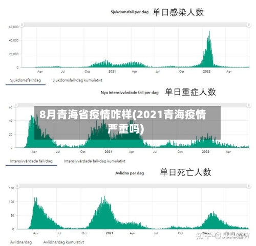 8月青海省疫情咋样(2021青海疫情严重吗)-第3张图片