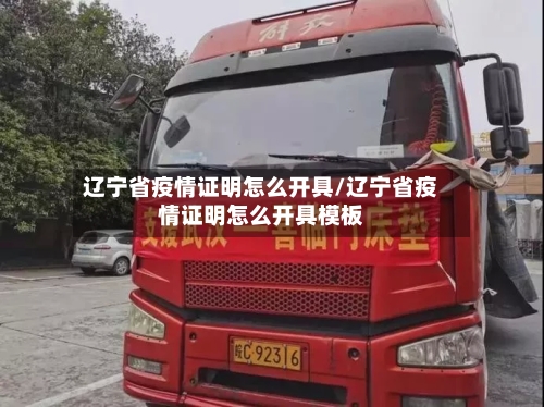 辽宁省疫情证明怎么开具/辽宁省疫情证明怎么开具模板-第1张图片