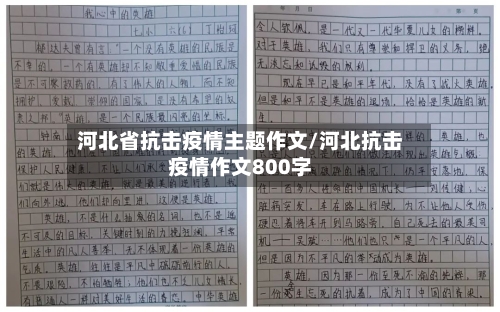 河北省抗击疫情主题作文/河北抗击疫情作文800字-第1张图片