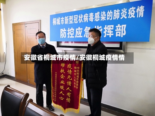 安徽省桐城市疫情/安徽桐城疫情情-第1张图片