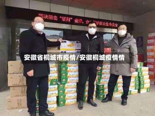 安徽省桐城市疫情/安徽桐城疫情情-第2张图片