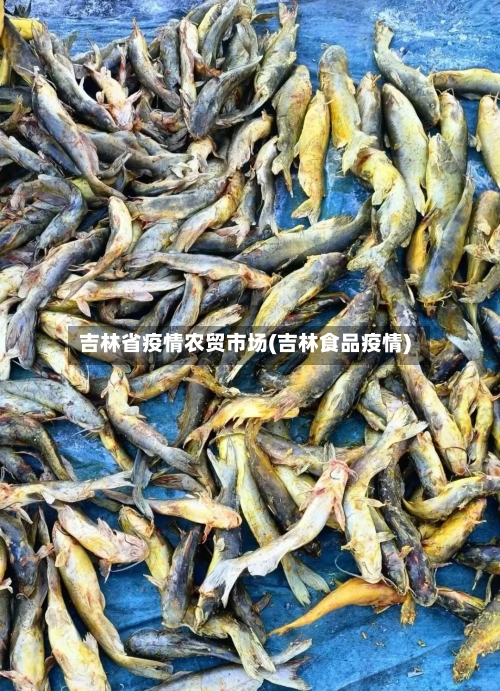 吉林省疫情农贸市场(吉林食品疫情)-第2张图片