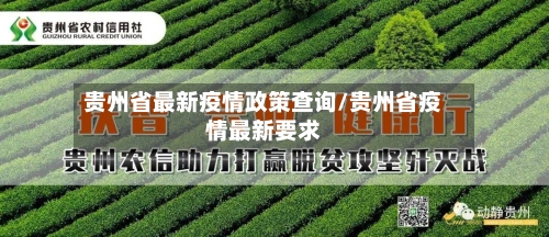 贵州省最新疫情政策查询/贵州省疫情最新要求-第2张图片