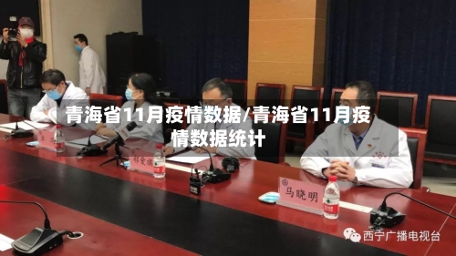 青海省11月疫情数据/青海省11月疫情数据统计-第1张图片