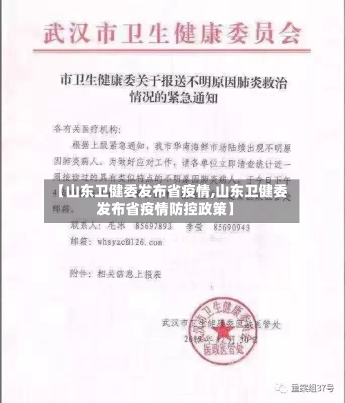 【山东卫健委发布省疫情,山东卫健委发布省疫情防控政策】-第1张图片