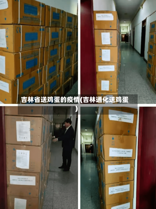 吉林省送鸡蛋的疫情(吉林通化送鸡蛋)-第2张图片