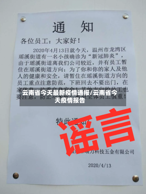 云南省今天最新疫情通报/云南省今天疫情报告-第1张图片