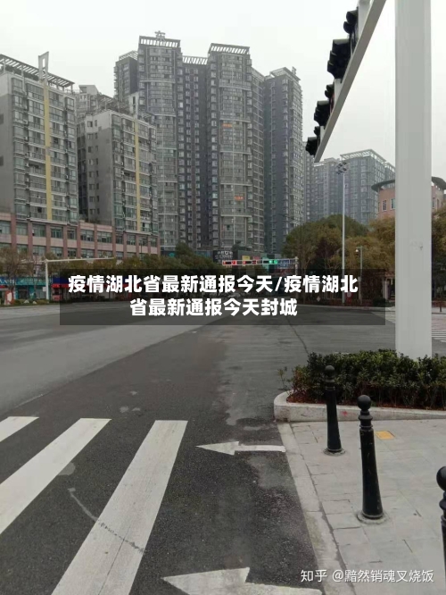 疫情湖北省最新通报今天/疫情湖北省最新通报今天封城-第2张图片