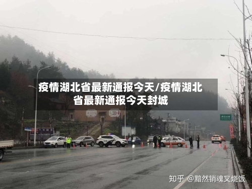 疫情湖北省最新通报今天/疫情湖北省最新通报今天封城-第3张图片
