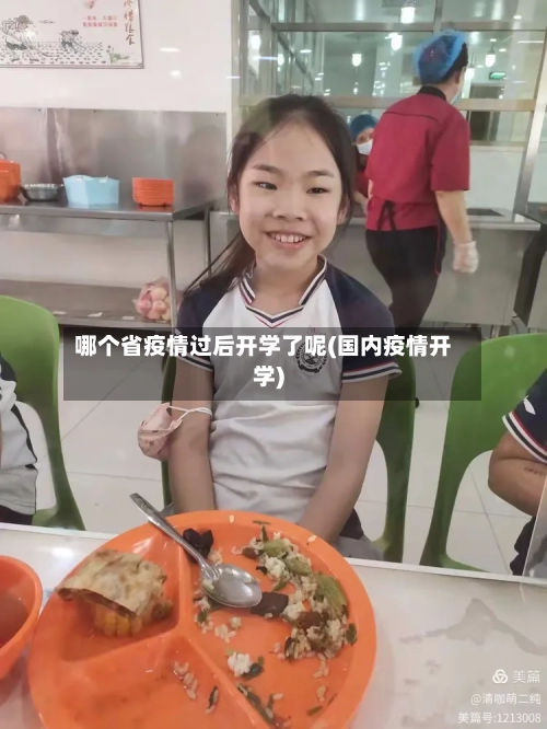 哪个省疫情过后开学了呢(国内疫情开学)-第1张图片