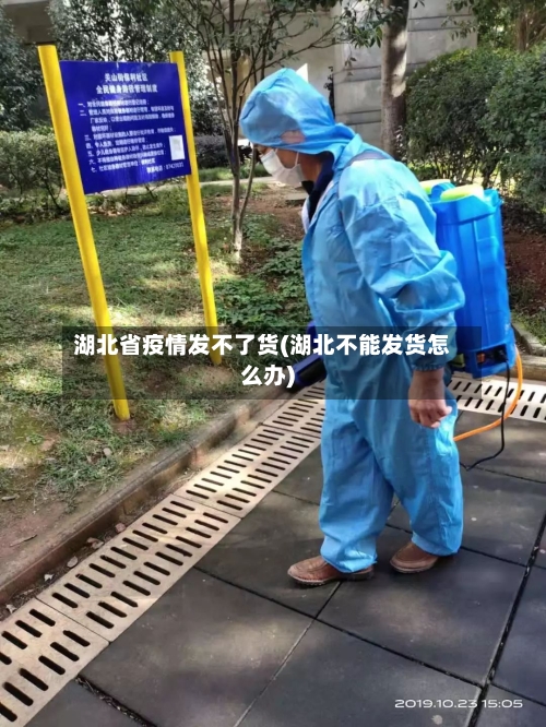 湖北省疫情发不了货(湖北不能发货怎么办)-第1张图片