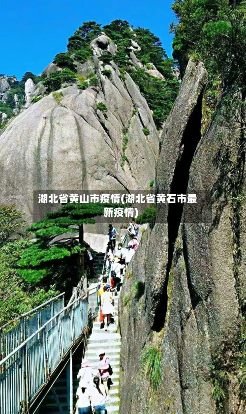 湖北省黄山市疫情(湖北省黄石市最新疫情)-第3张图片
