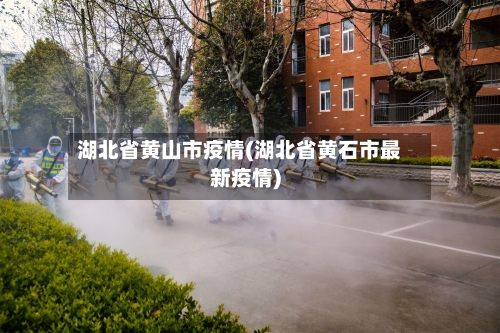 湖北省黄山市疫情(湖北省黄石市最新疫情)-第2张图片